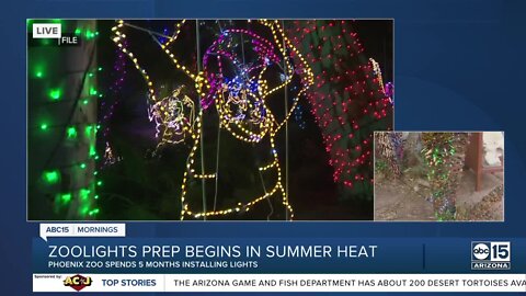 Preparations underway in July for Zoolights at Phoenix Zoo