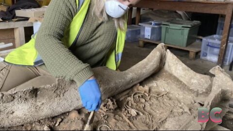 Roman coffin unearthed at Garforth to be displayed for the first time