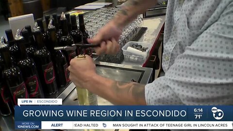 Life in Escondido: Exploring the growing cluster of wineries