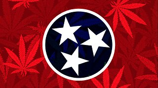 Should Marijuana Be Legal in Tennessee? A War Veteran's Perspective
