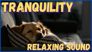 Peace and relaxation! Music that generates tranquility! Fall asleep, relax, rest, pray and study!