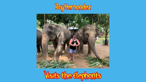 Cousin Roy (Hernandez) visits the Samui Jungle Elephant Sanctuary with Janie!
