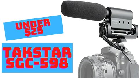 Takstar SGC-598 Shotgun Mic Review/Test - Best Budget Mic?