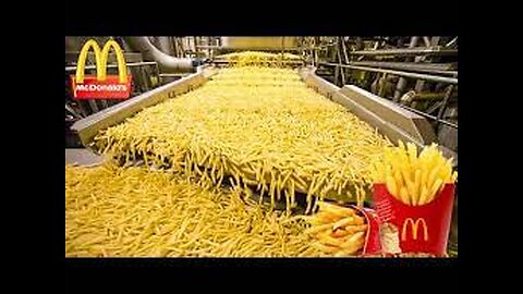 How Are McDonald's French Fries Made - Food Factory