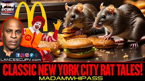 CLASSIC NEW YORK CITY RAT TALES! | MADAMWHIPASS | LANCESCURV