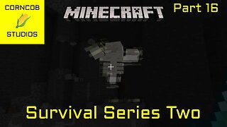Fighting The Wither | Minecraft | Survival Series Two | Part 16