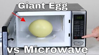 Putting a Giant Rhea Egg in a Microwave (Bad Idea)