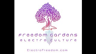 Freedom Gardens29: ElectroFreedom w/ Special Guest Vince T.