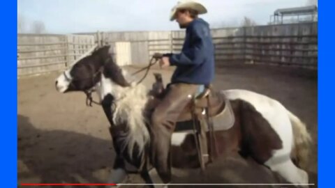 When Loving Owners Teach Horses Bad Lessons - They Call Others To Solve The Bucking Problem