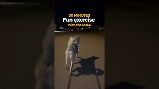 Husky pulls me on a bike ! 😱#cutedogs #husky #dogs #bike #snowdogs #huskylife #exercise #fun