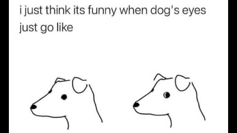 Dog Looking Side Eye Funny Meme