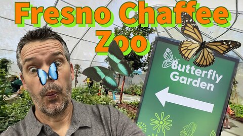 Butterfly Garden at the Fresno Chaffee Zoo 2023