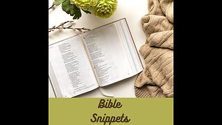 BIBLE SNIPPETS