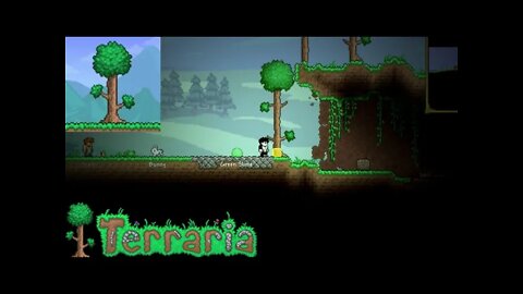 Download terraria Android