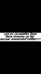 Why do celebrities think their opinions on the 2nd amendment matter???