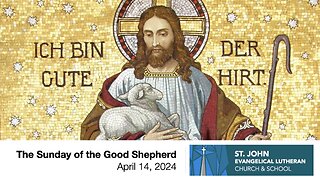 The Sunday of the Good Shepherd — April 14, 2024