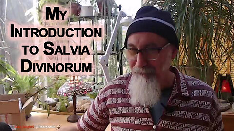 My Introduction & Apprenticeship With Salvia Divinorum: A Story About Fear, The Mind Killer