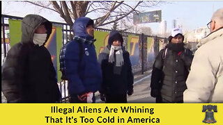 Illegal Aliens Are Whining That It's Too Cold in America