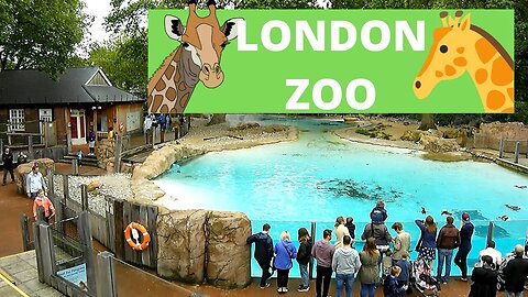 Exploring London Zoo: A Wild Wildlife Adventure In The Heart Of The City #LondonZoo #Wildlife