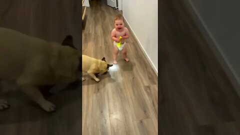 Fun time with dog 😍😂 #shorts #dogsoftiktok #toddler #baby #viral #please #please #subscribe 👇