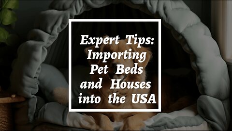Mastering Pet Bed Imports: Navigating Customs and Regulations in the USA