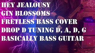 Hey Jealousy Bass Cover Fretless - Drop D – Gin Blossoms – BBG008