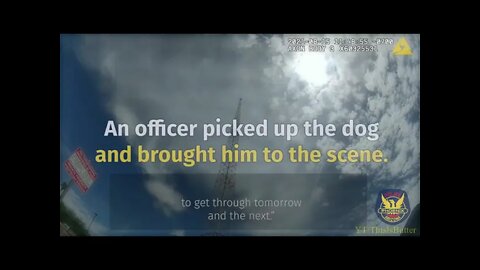 Phoenix Police talk man down from tower, reunites him with his dog