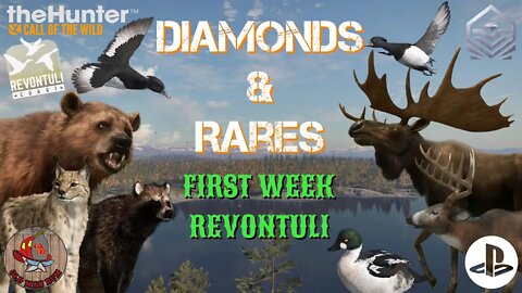 Revontuli First Week Diamond & Rare Highlights theHunter Call of the Wild