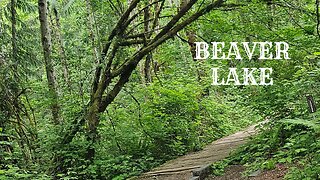 Beaver Lake Trail at Lord Hill Regional Park