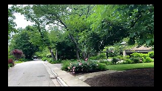 I Walked To the Most Expensive Neighborhoods In Chicago IL|| Glencoe