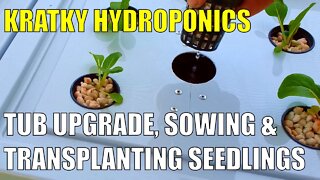 Kratky Hydroponics | Tub Upgrade, Sowing & Transplanting Seeds