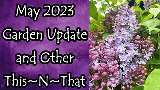 Garden Update May 2023 and Other This~N~That