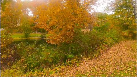 #October in #Maine. #Fall #autumn #leaves