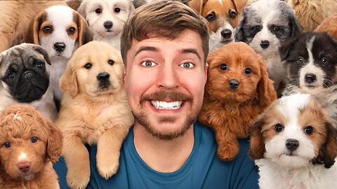 I Rescued 100 Abandoned Dogs!🐕 🐶