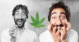 How to NOT FREAK OUT when Toking Sativa - Why Do Sativas Get So Intense? How 2 REVERSE the Freak Out
