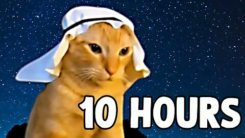 Arab Cat Meme [10 HOURS]