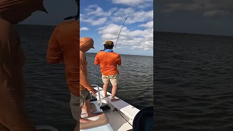 Fly Fisherman Catches First BULL REDFISH on charter in Louisiana! #redfish #fishing #shorts #funny