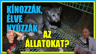 Kínozzák, élve nyúzzák az állatokat? - Hobbista Hardcore 23-09-06/2; Lamoga János