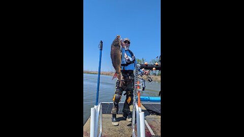 BOWFISHING MAY 18TH 2024 SAGINAW BAY DAY SHOOT EPIC