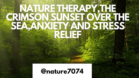 Nature Therapy - The Crimson Sunset Over The Sea - Anxiety and Stress Relief
