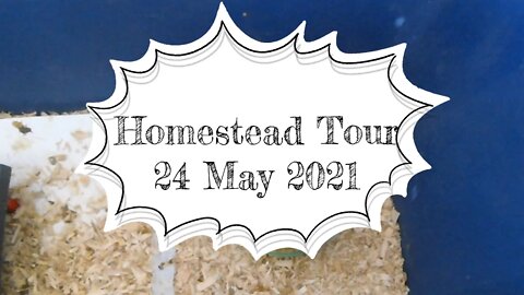 Homestead Tour 24 May 2021