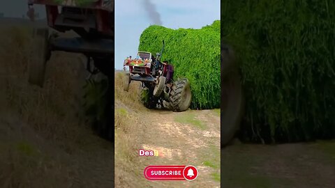#desilifeofpunjab #foryou #tractor #tractorvideo