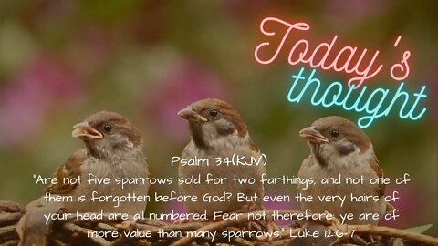 Daily Scripture and Prayer|Today's Thought - Psalm 34 God KNOWS you