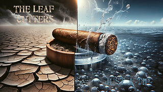 Just a Tip: What happens when a cigar is over or under humidified?