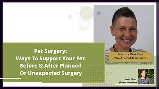 Pet Surgery: Ways To Support Your Pet Before & After Planned Or Unexpected Surgery 🤩