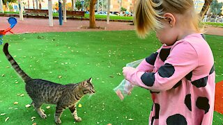 Sofia feeds the cats