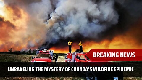 Why does Canada have so many wildfires? | News Today | CA | Canada
