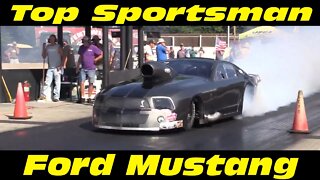 Top Sportsman Mustang Drag Racing Outlaw Street Cars