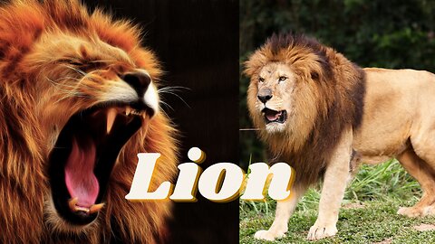 The Evolution of Lion King | Lion King From Animation to Live Action