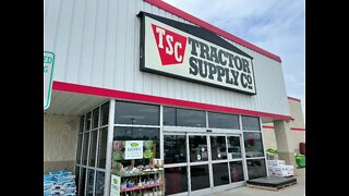 Tractor Supply Springville, NY 14141